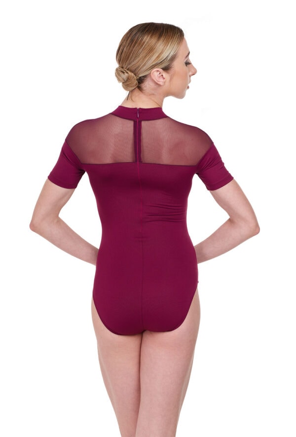 Cassandra Turtleneck Mesh Leotard